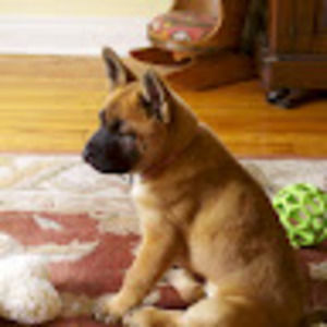 Meet your Posher, Mary